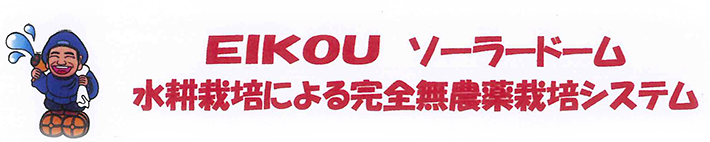 水耕栽培革命システム